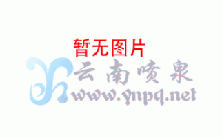 云南噴泉公司噴泉工程維修及日常維護