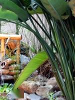 讓庭院更有仙風(fēng)道骨之氣的水景工程